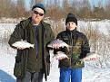 IMG 4517