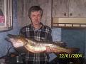100 2360
Тесть и его трофей.(ноябрь 2008,возле кировского моста,зап.Двина).