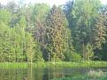 Рассвет