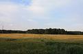 IMG 1386