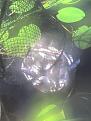 12 07 08 1233