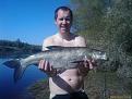 Жерех 4 кг. Зап. Двина.