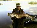 Осень 2010, плещенское водохр., 7,200 кг.