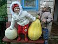 достижения народного хозяйства