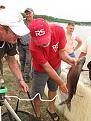 IMG 1722