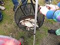 IMG 1854