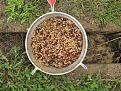 IMG 1751