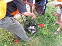IMG 9581