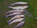 Photo 0064