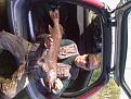 Photo 0066 1