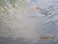 IMG 0769