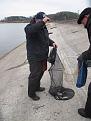 IMG 8592