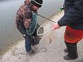 IMG 8581