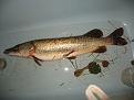 IMG 5788