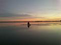 лосвидо 2012(2)