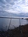 DSC00023 (217)