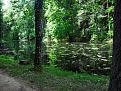 Фото0125
Пруд в Михайловском.
...Там чудеса, там леший бродит...