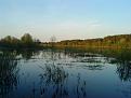 DSC00485