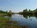 DSC00495