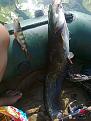 Photo0764