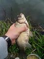 IMG 20140510 103128