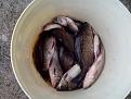 IMG 20140322 175241