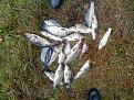 IMG 20130914 122144