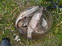 IMG 20140514 183220