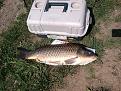 IMG 20140524 105909