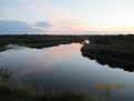 IMG 0801
