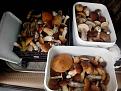 IMG 20140903 111309