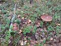 IMG 20140903 084027