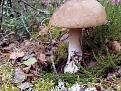 IMG 20140903 083909