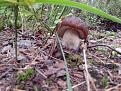 IMG 20140903 081028