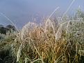 IMG 20141019 092503