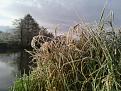IMG 20141019 092521
