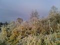 IMG 20141019 092543