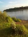 IMG 20140723 200521http://www.brik.org/album.php?albumid=2838&attachmentid=391220