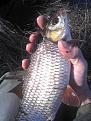 IMG 20150411 170727