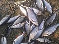 IMG 20150411 174630