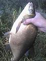 IMG 20150822 160654