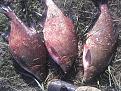 IMG 20151001 164554