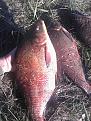 IMG 20151001 164643