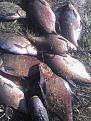 IMG 20151001 163543