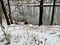 Зимняя идиллия