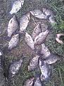 IMG 20150504 182533