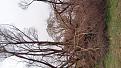IMG 20150418 142034
