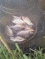 IMG 20160504 130800