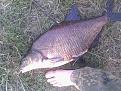 IMG 20150924 180331