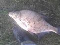 IMG 20151001 091605